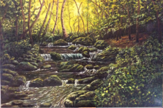 Midsummers Night by Gill Kendall